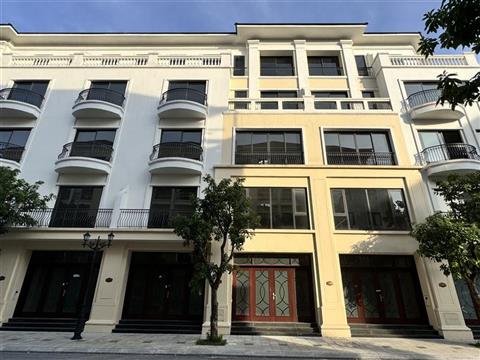 Mua bán quỹ căn Shophouse San Hô 4 (SH4), Vinhomes Ocean Park 2