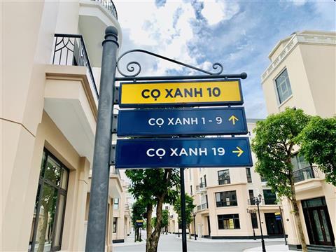 Mua bán quỹ căn Liền kề Cọ Xanh 10 (CX10), Vinhomes Ocean Park 2