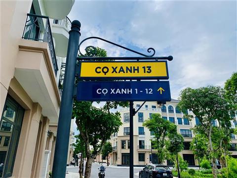 Mua bán quỹ căn Liền kề Cọ Xanh 13 (CX13), Vinhomes Ocean Park 2