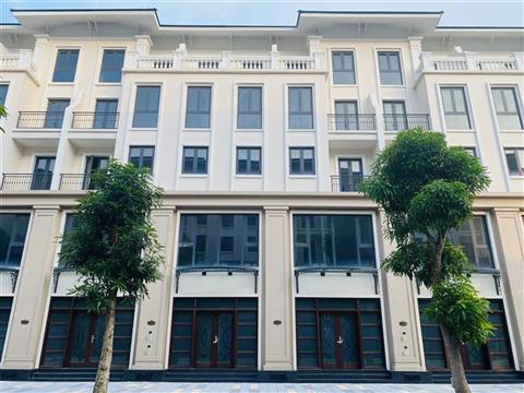 Mua bán quỹ căn Shophouse Thời Đại 6 (TD6), Vinhomes Ocean Park 3