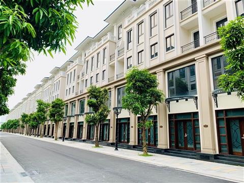 Mua bán quỹ căn Shophouse Thời Đại 9 (TD9), Vinhomes Ocean Park 3