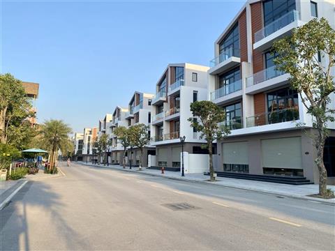 Mua bán quỹ căn Biệt thự Song lập Vịnh Thiên Đường 5 Vinhomes Ocean Park 3