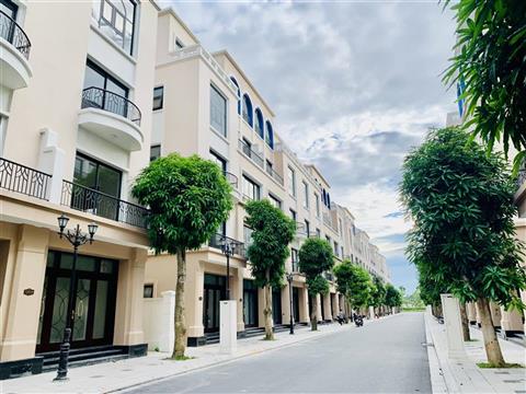 Mua bán quỹ căn Biệt thự Tứ lập Cọ Xanh 5 (CX5), Vinhomes Ocean Park 2