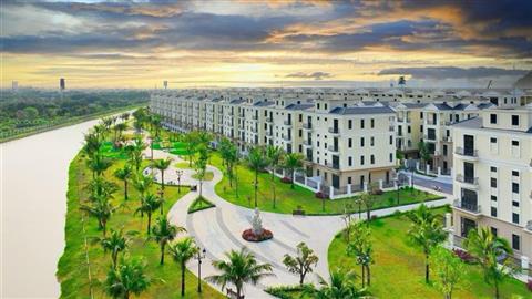 Mua bán quỹ căn Biệt thự Song lập Đảo Dừa 8 (DD8), Vinhomes Ocean Park 2