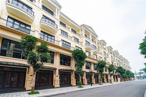 Mua bán quỹ căn Shophouse Đảo Dừa 9 (DD9), Vinhomes Ocean Park 2