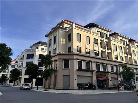 Mua bán quỹ căn Shophouse San Hô 4 (SH4), Vinhomes Ocean Park 2